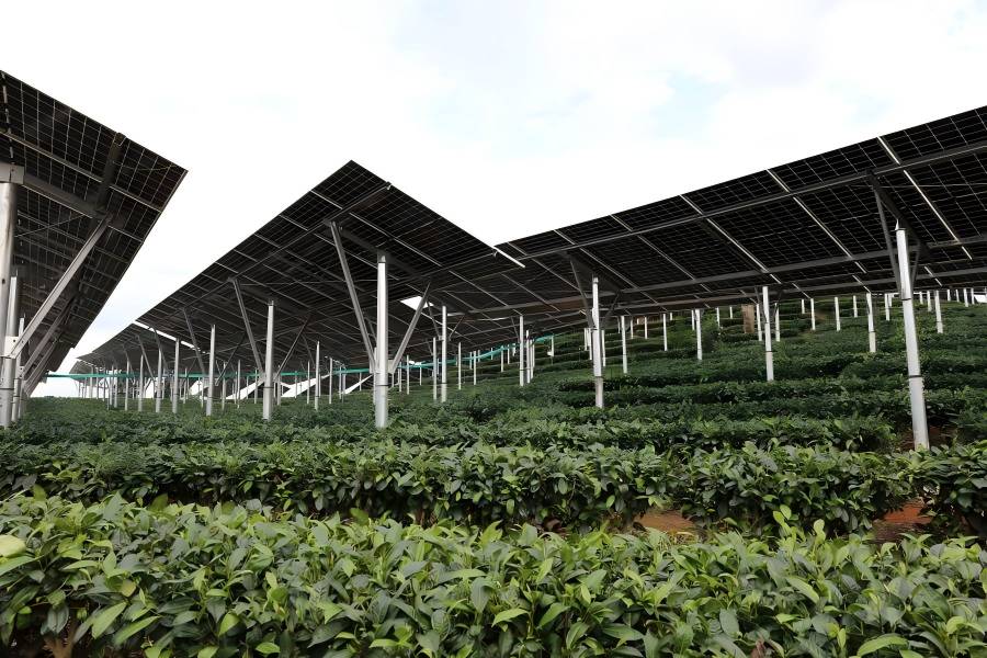 至成国际官网集团喜获80MW光伏项目保险性建设指标， 绿色能源发展迈出坚实一步！！！